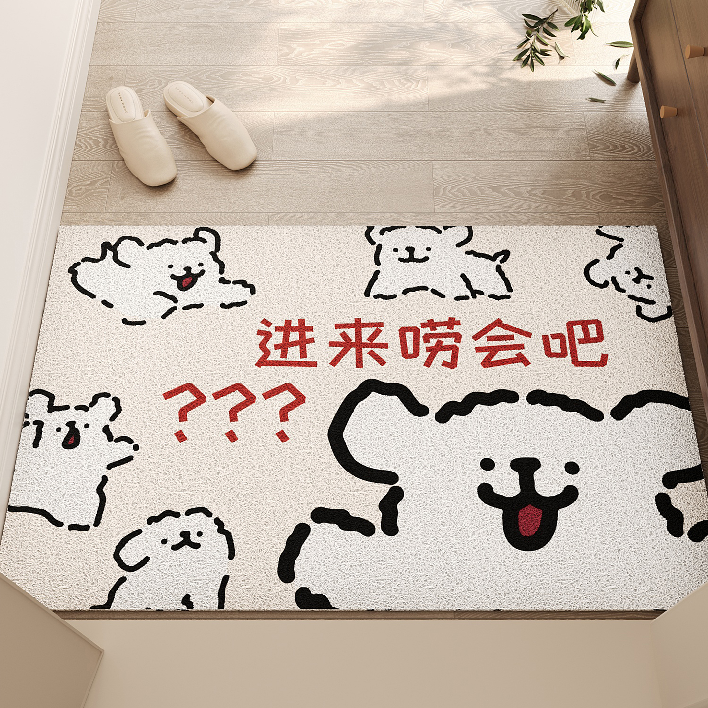 入户门地垫丝圈玄关刮泥耐磨耐脏