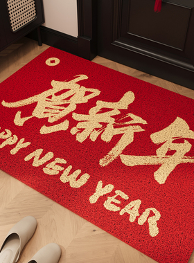 红色丝圈脚垫入户门地垫耐磨除尘免洗玄关大门进门耐脏可裁剪地毯