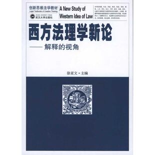 正版 视角徐亚文编 西方法理学新论解释