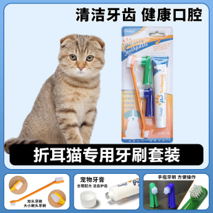 折耳猫专用猫咪牙刷宠物牙膏套装 刷牙清洁用品口腔牙用具指套