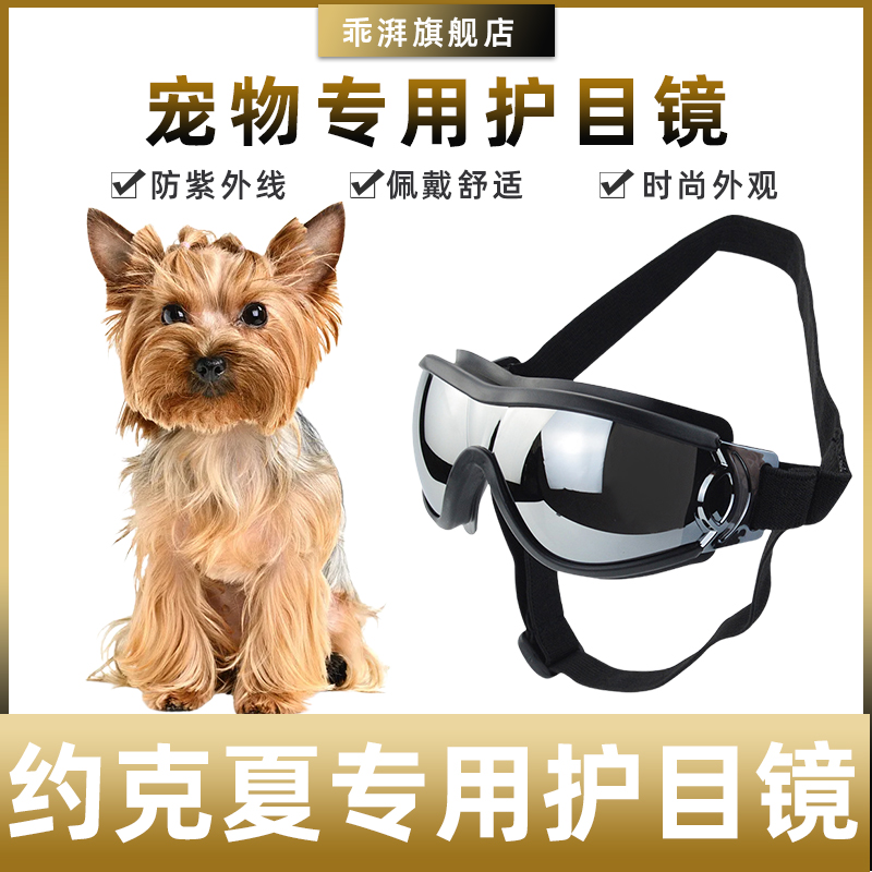 哇米约克夏骑行防风护目镜
