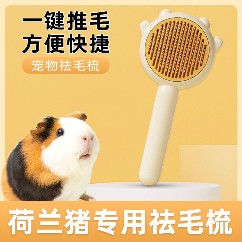 荷兰猪专用梳子花枝鼠龙猫梳毛去