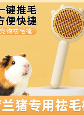 荷兰猪专用梳子花枝鼠龙猫梳毛去