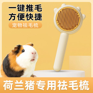 荷兰猪专用梳子花枝鼠龙猫梳毛去浮毛针梳刷除毛器开结毛球按摩梳