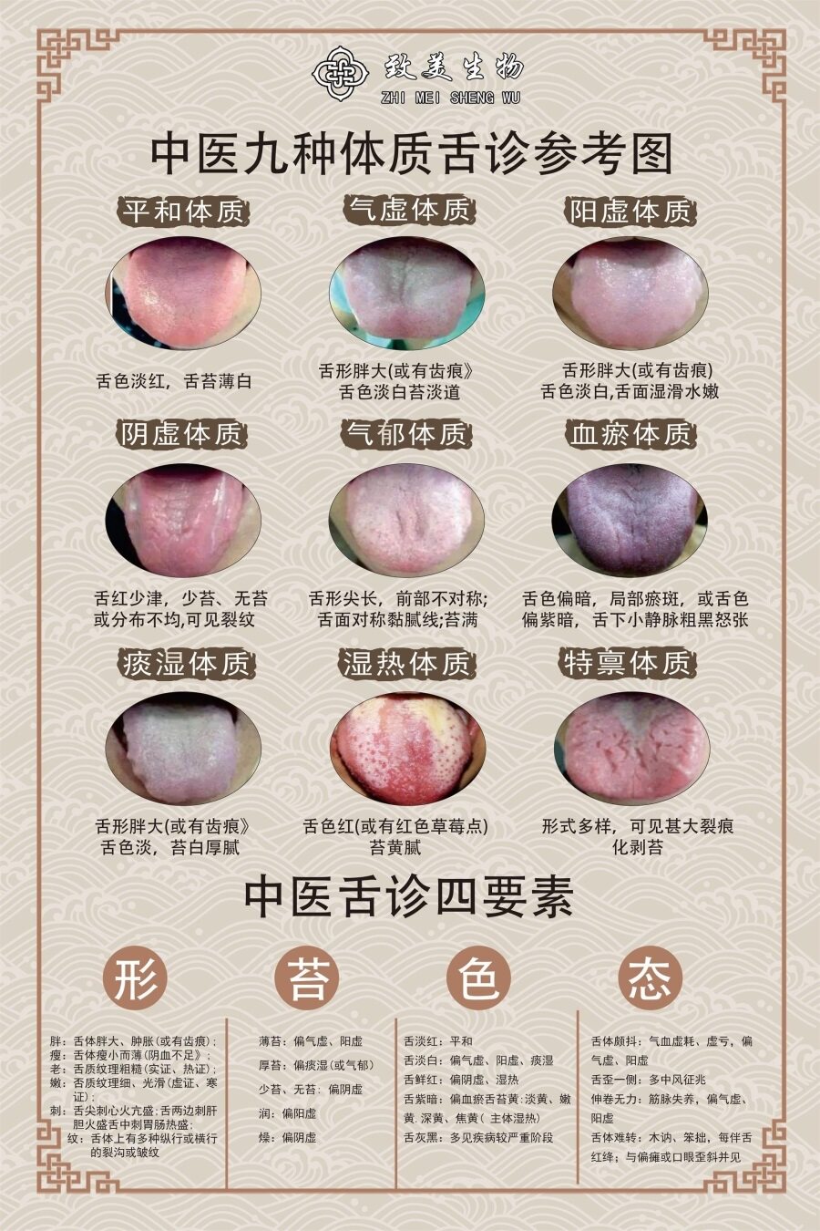 中医九种体质海报中医理疗广告舌诊挂图九种体质背景墙装饰画
