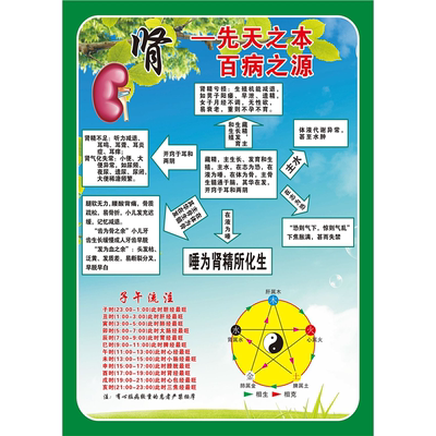 百病之源人体动脉血管微循环障碍身体的影响变化海报印制