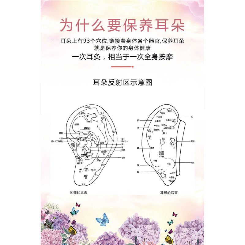 耳穴挂图耳朵穴位图经络图耳部穴位图解穴位图片耳科宣传挂图