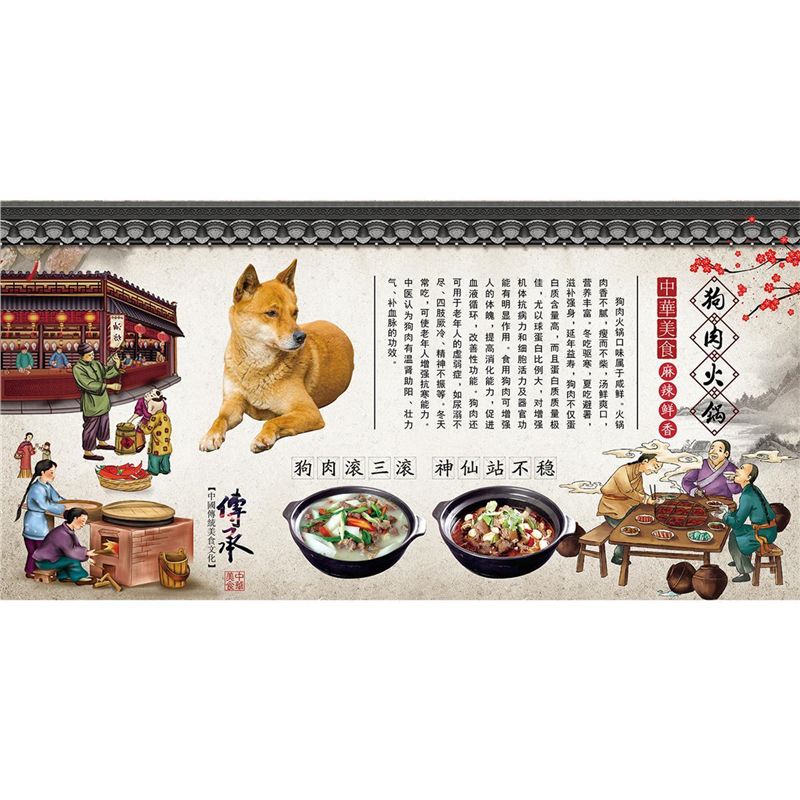 美味小吃狗肉海报贴纸广告贴画狗肉火锅广告贴纸营养价值贴纸