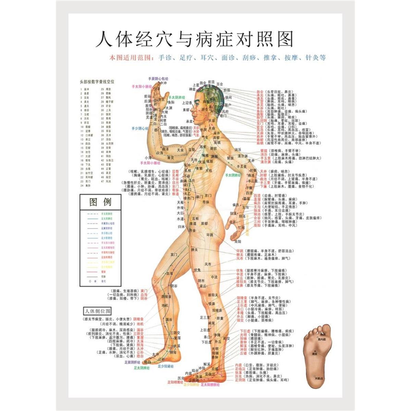 1套3张人体经络穴位图中医针炙挂图足疗刮痧按摩艾炙高清超大