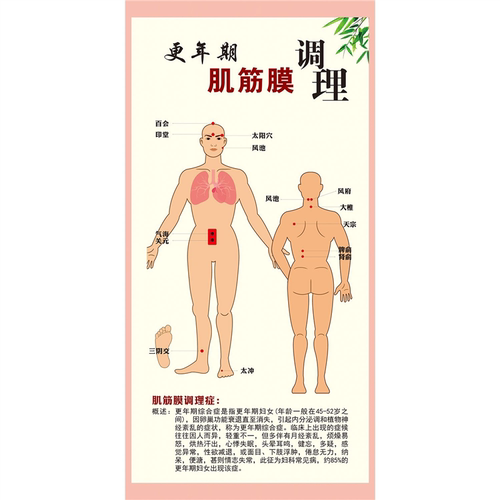 定制图肌筋膜链与激痛点原发痛传导痛意大利FM筋膜手法神经卡压图