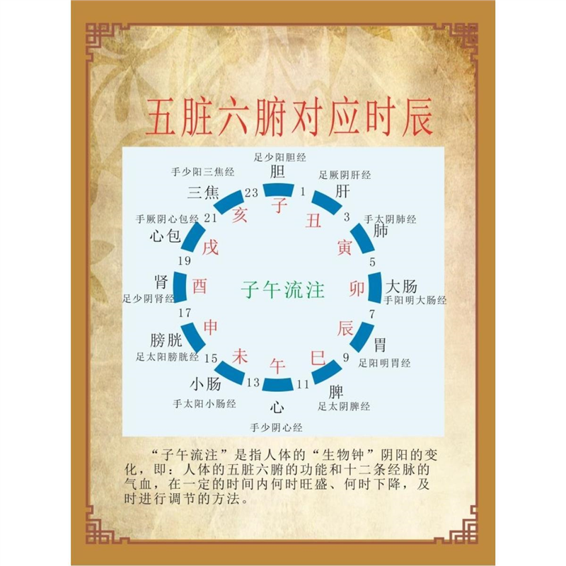 五脏六腑对应时应 足疗五大核心 海报 按摩脚的好处 挂图 装饰画