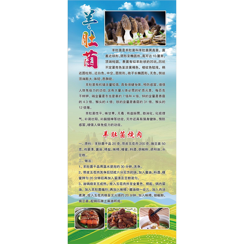 羊肚菌简介绍做用功效宣传贴纸挂图展板海报印制宣传画自粘