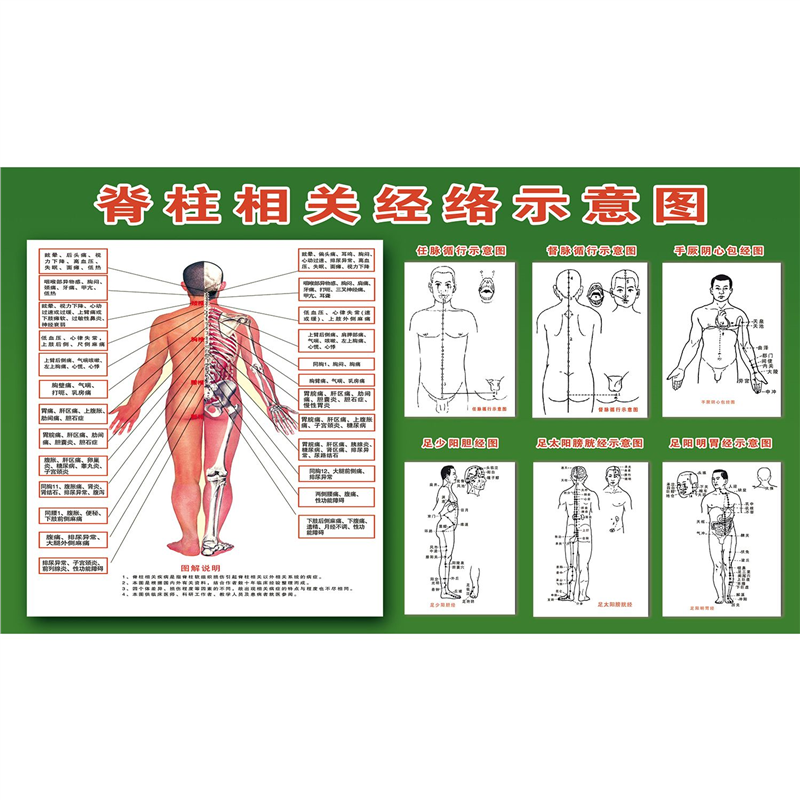 中医挂图医用脊柱相关疾病挂图腰椎脊椎引起的病症宣传画正骨海报