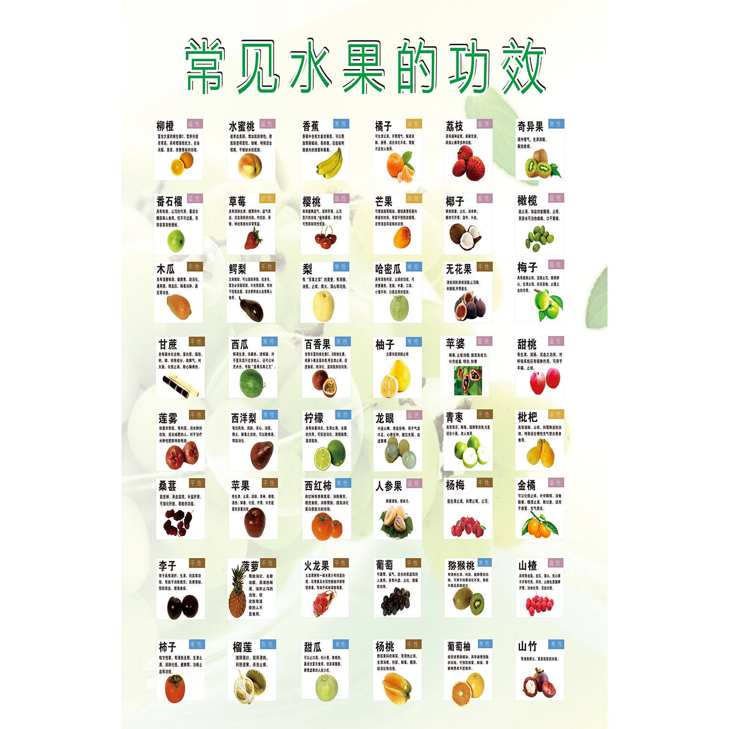 常见水果功效宣传海报食物属性一览表大全挂图水果蔬菜营养成分表