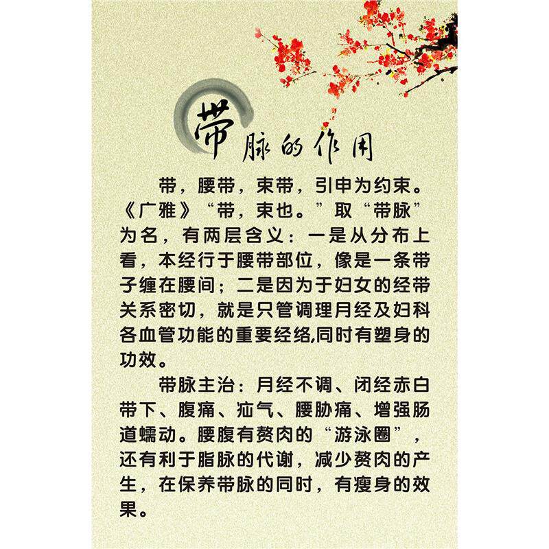 美容养生馆带脉的作用功效果好处墙上挂贴图展板海报印制