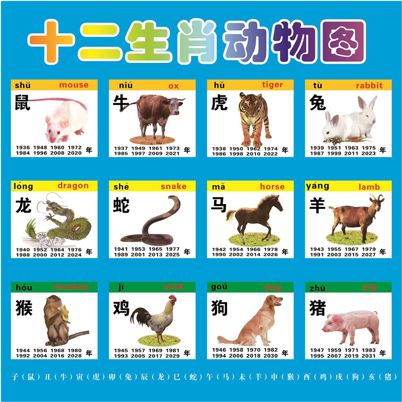 十二生肖图宝宝挂图儿童婴儿园识字挂图12生肖表彩图宝宝早教挂图