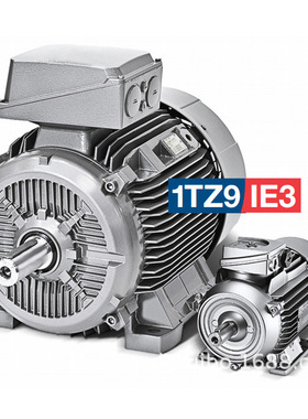 LONNE电机1TZ9系列7BA 7AA 三相异步电动机