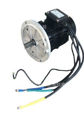 永沛电机YP80PC-48V0.8-1500 电动平板车电机无刷直流电机加速快