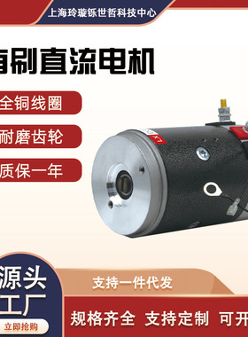 电机12v24v2200W铜机芯汽车尾板液压动力单元油泵环卫车直流马达