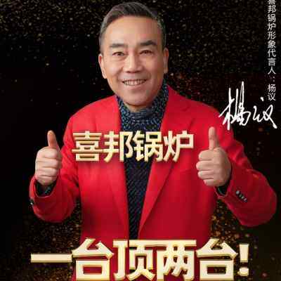 新型节能懒汉地暖锅炉家用燃煤烧柴农村暖气小型数控取暖小采暖炉