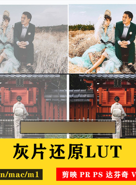 索尼灰片还原视频LUT预设HLG/slog2/slog3后期709剪映PR通用log