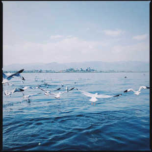 44款LR/PS预设复古135胶卷相机胶片模拟人像街拍风景配置文件手机