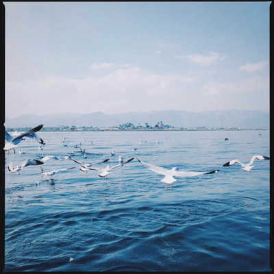 44款LR/PS预设复古135胶卷相机胶片模拟人像街拍风景配置文件手机