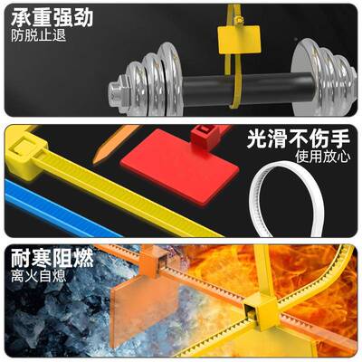 标牌龙式尼束线自锁扎3*1带0VKP0标网签吊卡4*150彩色线记号带胶