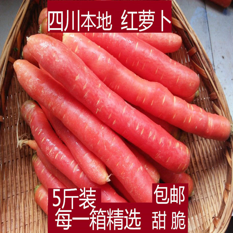 四川新鲜蔬菜胡萝卜特产红萝卜农家自种红萝卜无公害蔬菜宝宝辅食