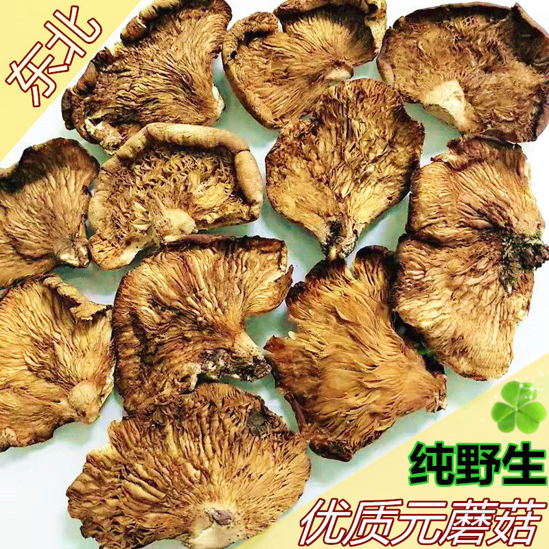 东北特产纯野生元蘑 干货冻蘑 野生冬蘑菇 元蘑菇500克包邮 新货