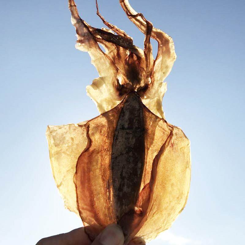 新晒墨鱼干煲汤食用月子海鲜美食淡水乌贼干目鱼干海鲜干货