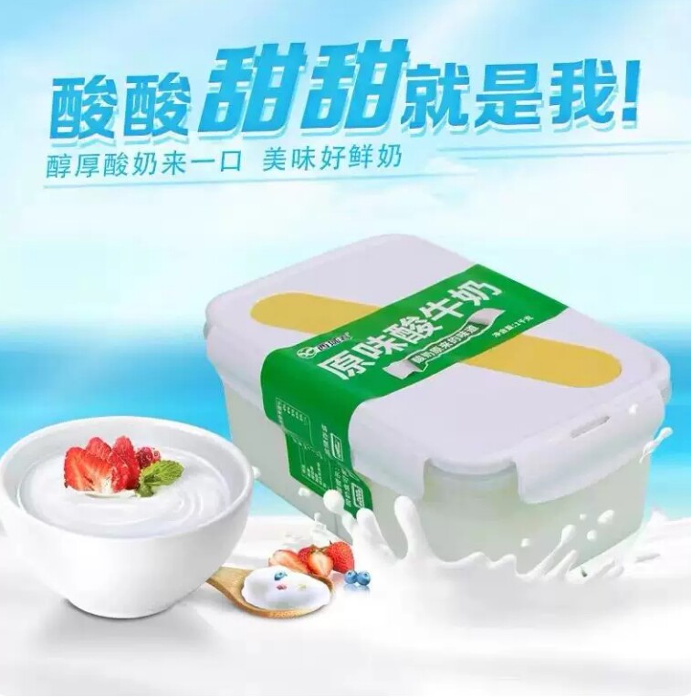 新疆西域春酸奶原味酸牛奶新鲜全脂1kg饭盒装酸奶儿童营养