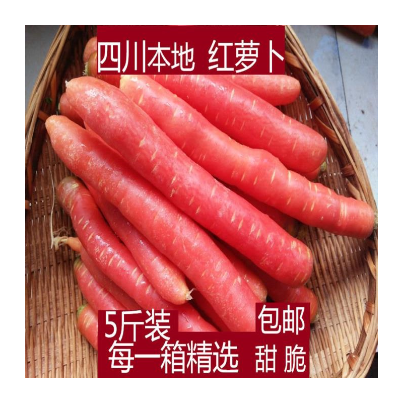 四川新鲜蔬菜胡萝卜特产红农家