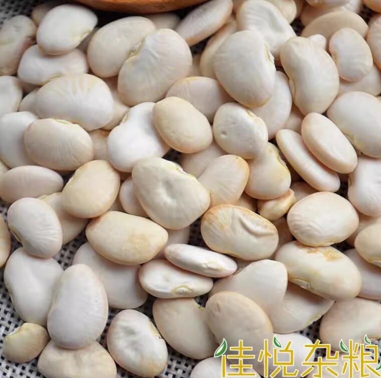 崇明洋扁豆农家自种白扁豆当季新鲜蔬菜杂粮洋扁豆白芸豆全国包邮