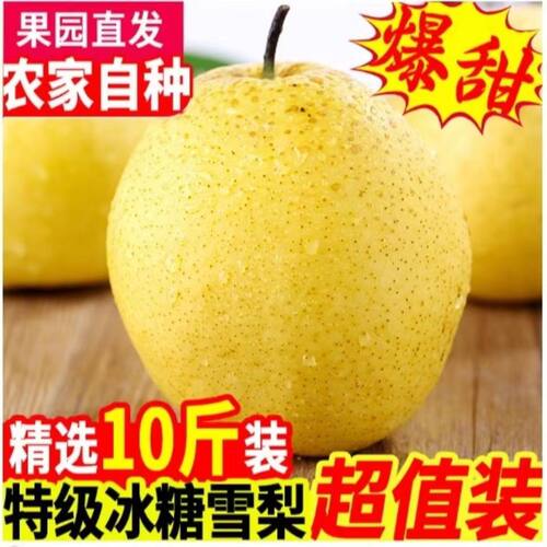 河北赵县雪花梨10整箱冰糖雪梨当季孕妇水果汤梨水新鲜梨子包邮