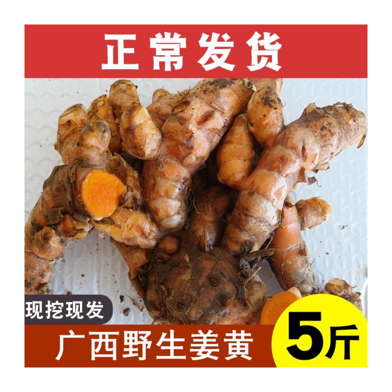 新鲜野生姜黄正宗产后月子姜土黄姜老姜咖喱姜可药用生姜黄粉红姜