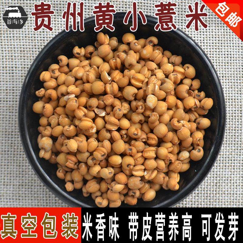 贵州黄薏米小黄薏仁米 糙薏苡米带皮薏米煮粥十谷米材料 真空500g