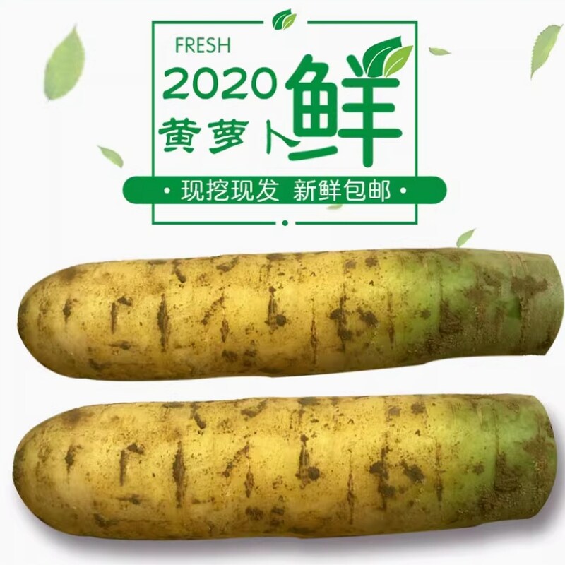 山西黄萝卜新鲜胡装当季