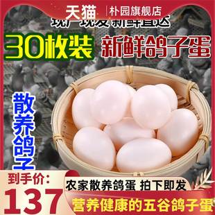 包邮 正常发货朴园新鲜鸽子蛋30枚顺丰 农家鸽子蛋放飞白鸽营养鸽蛋