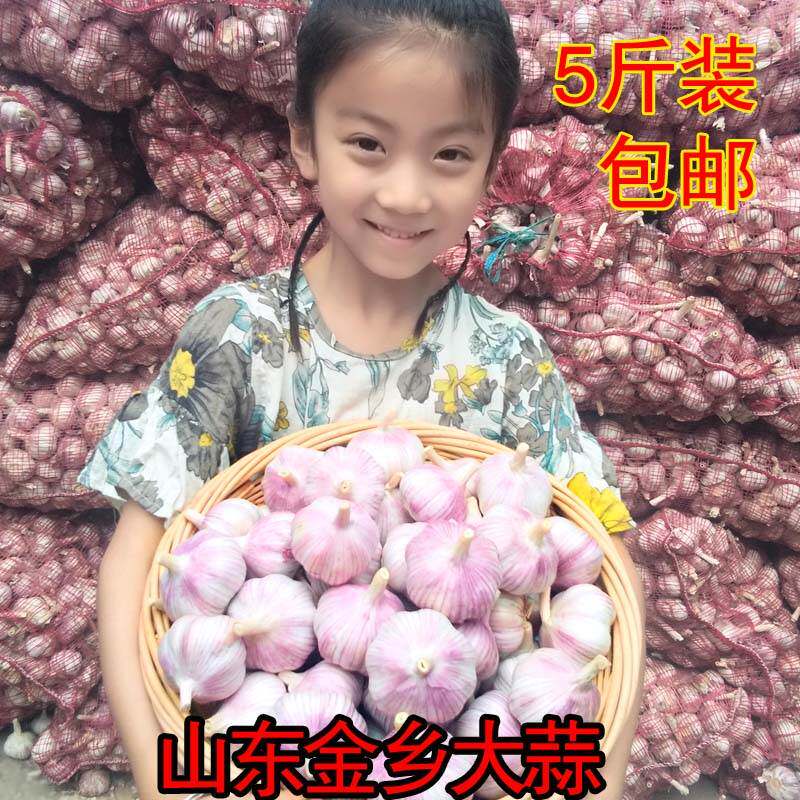 大蒜头干新鲜山东新蒜山东特产