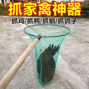 野外抓鸡神器网捕鸡专用网逮土鸡加长杆抄网器户外抓鸭网兜捕鸽子