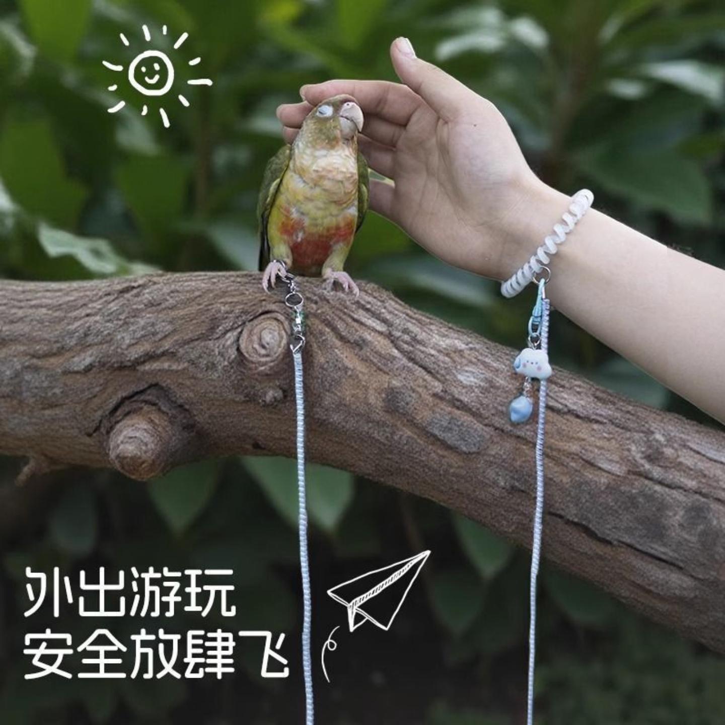A鹦鹉专用放飞绳超轻不伤脚虎皮牡丹玄凤镭射外出牵引绳伸缩遛鸟
