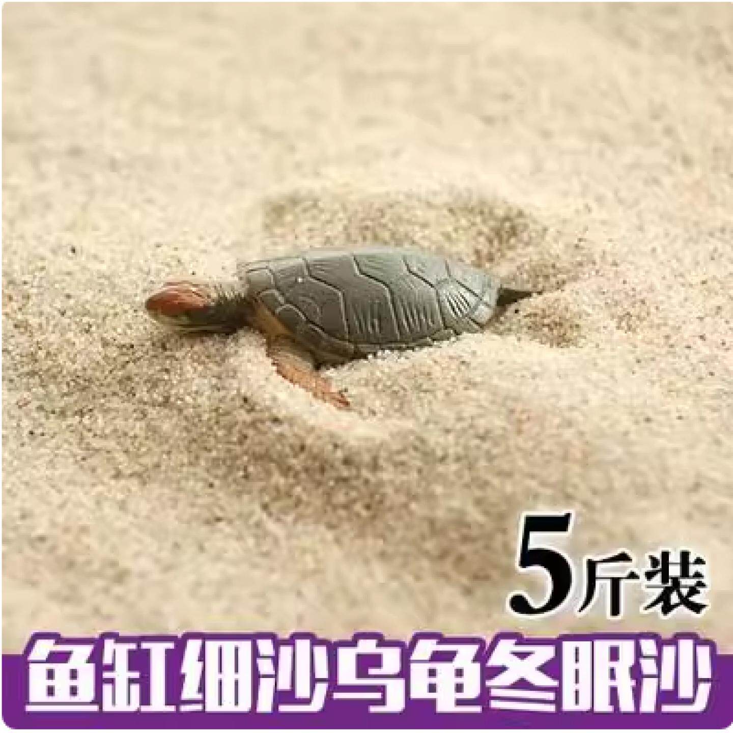 养乌龟的冬眠产蛋沙下蛋沙乌龟细沙土鱼缸沙龟蛋孵化专用细沙沙子