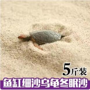 养乌龟的冬眠产蛋沙下蛋沙乌龟细沙土鱼缸沙龟蛋孵化专用细沙沙子