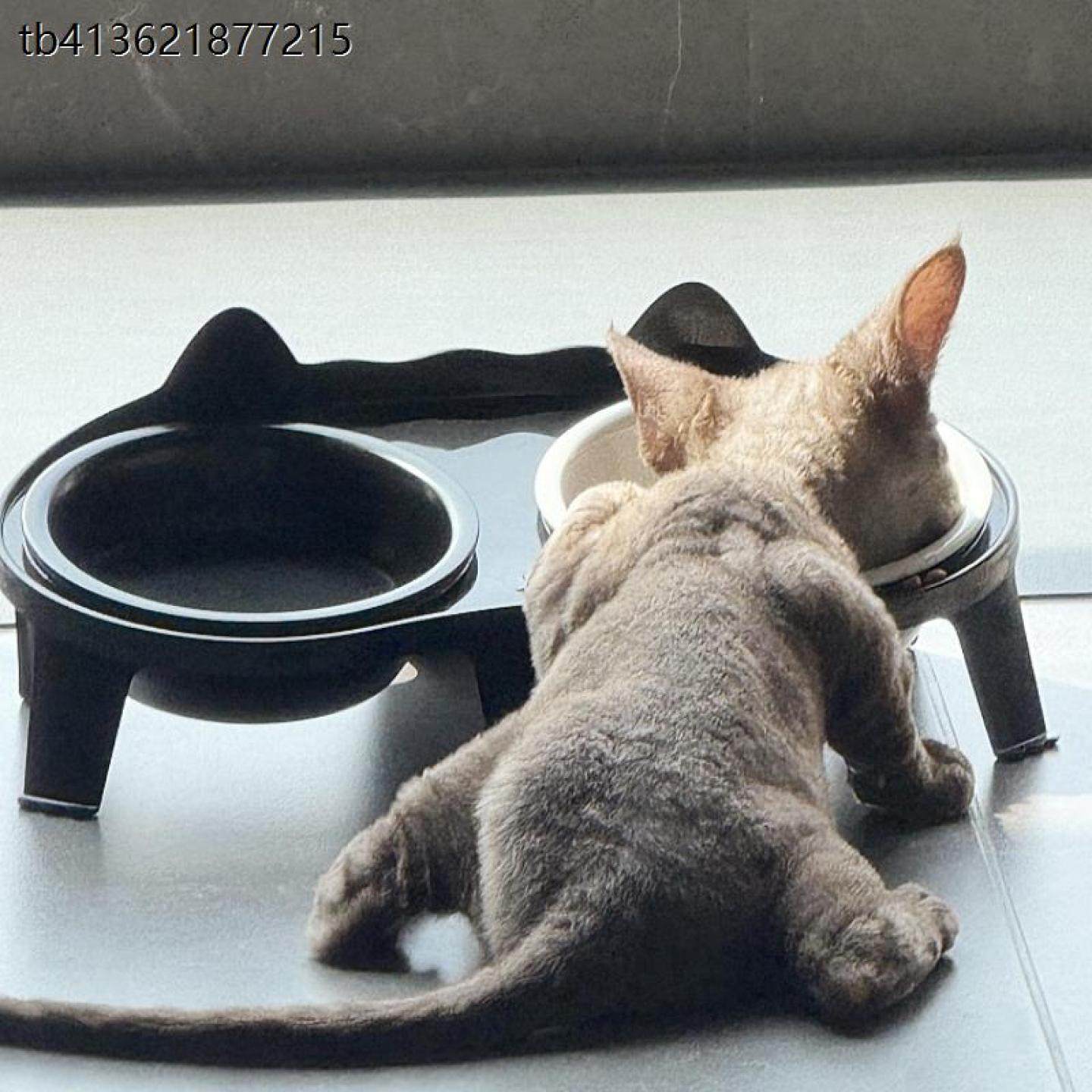 x【猫猫的100件快递】猫碗大口径防外溅防黑下巴护颈新式狗狗碗