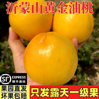 脆甜多汁山東黃油桃5斤黃油桃