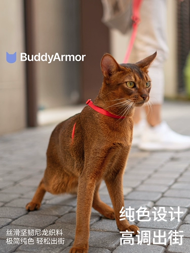 Buddyarmor Cat Pett Petal Back Traction Roving Set Новый год праздник подарок Валентин