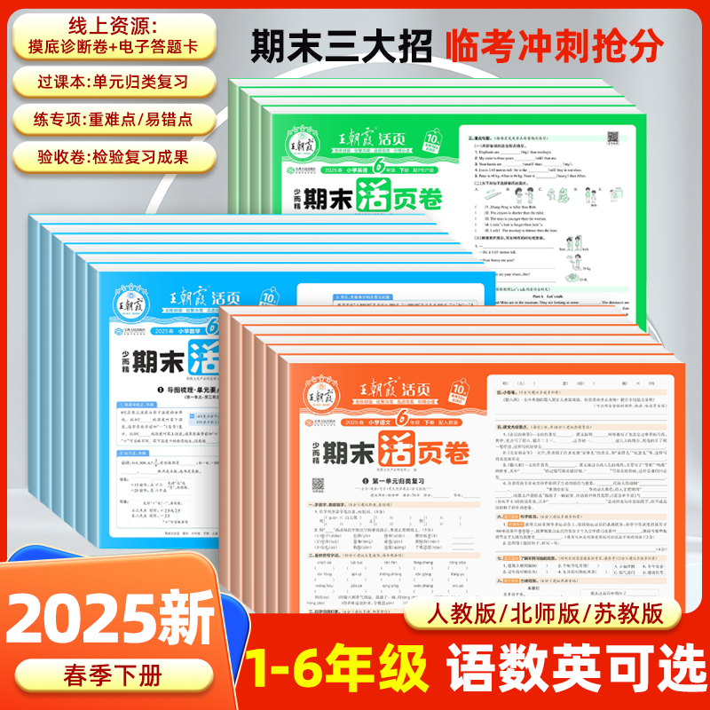 2025新版下册王朝霞期末活页卷真题卷小学一二三四五六年级下册语文数学英语测试卷期末总复习真题精编期末冲刺100分期末考试真题
