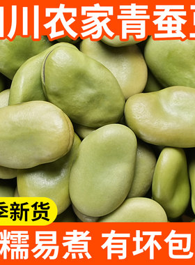 青皮蚕豆新货5斤农家自种绿皮干蚕豆青胡豆做油炸罗汉豆生绿胡豆