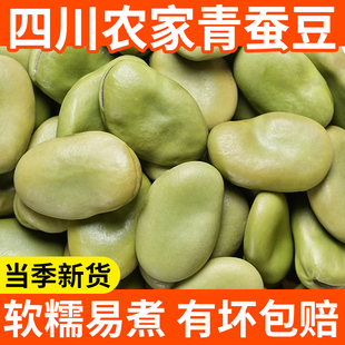 青皮蚕豆新货5斤农家自种绿皮干蚕豆青胡豆做油炸罗汉豆生绿胡豆